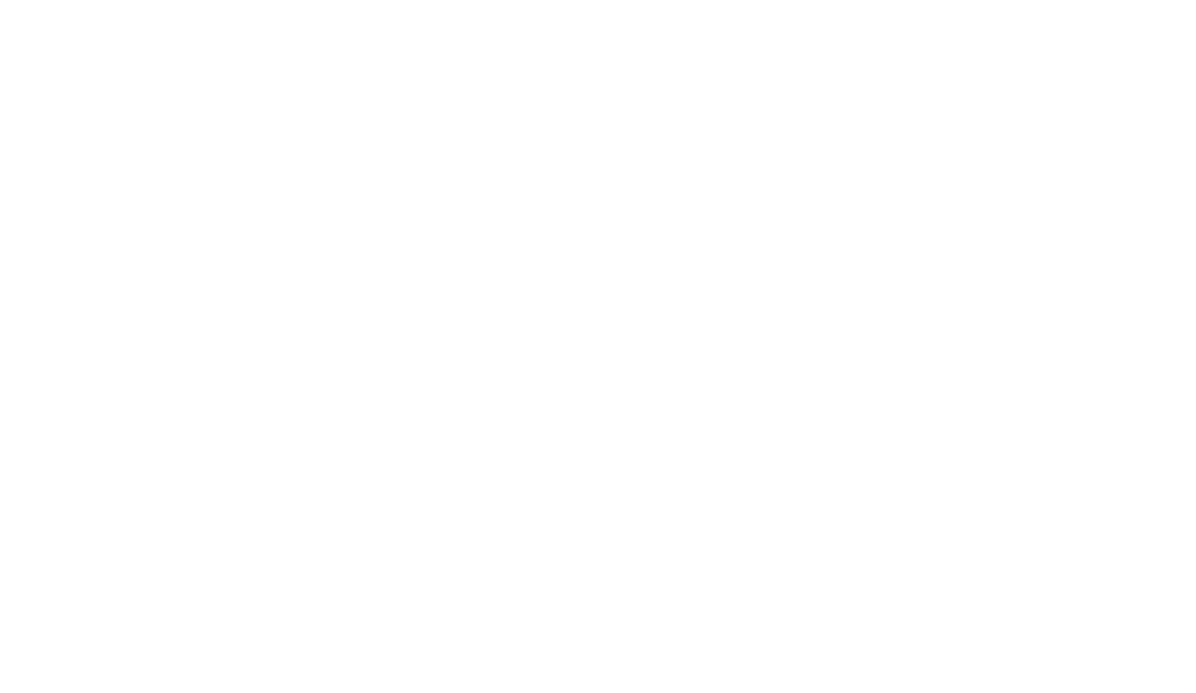 DellTech_Logo_Stk_Wht_rgb